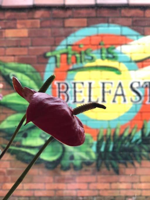 Cosy Two Bed Terraced House 7Min Drive From City Belfast Esterno foto